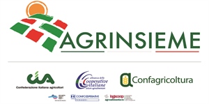 Stabilità, Agrinsieme: bene le misure agricole, adesso urgente progetto di sviluppo competitivo